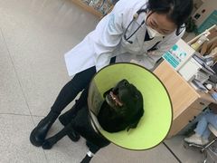 -谐和贝康宠物医院24小时·宠保定点(急重症转诊中心)
