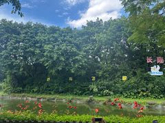 -广州长隆飞鸟乐园