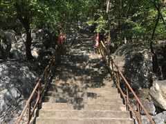 -北京上方山国家森林公园