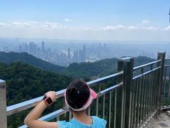 -大金鹰园