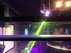 -vimi便利店酒吧