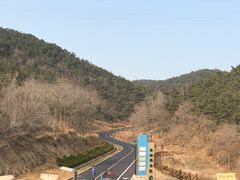 -长岛万鸟岛