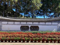 -黑龙潭公园