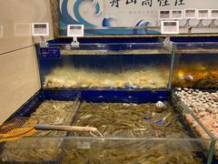 水产区-高佳庄·舟山海鲜(海景旗舰店)