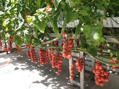 -中国农科院国家农业科技展示园