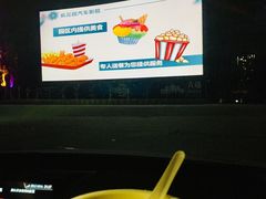 -枫花园汽车电影院(朝阳公园店)