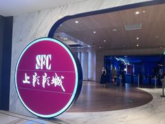 -SFC上影影城(港汇永华IMAX激光店)