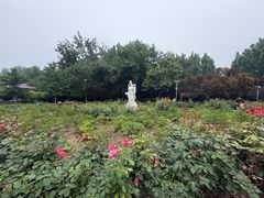 -丰台花园