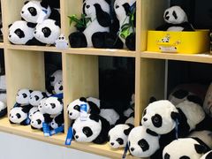 -熊猫邮局(少城店)