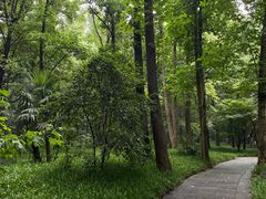 -杭州植物园