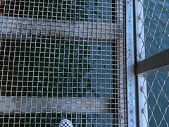 -湖洞水自然风景区