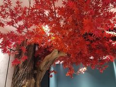 -老周家酱卤猪蹄私房菜(克拉玛依西街店)