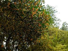 -共青国家森林公园-售票处