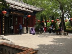 -大槐树寻根祭祖园