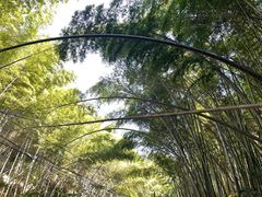 -会稽山峡洞漂流-上青古道