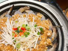 -前海沿·青岛菜(大拇指广场石老人店)