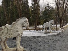-洛阳白马寺