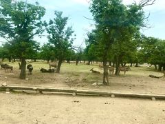 -西安秦岭野生动物园