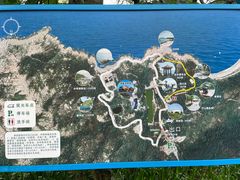 -广东惠东海龟国家级自然保护区