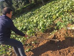 -帐篷客·溪龙茶谷度假酒店