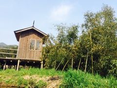 -宁波浙东大竹海景区