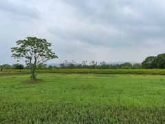 -良渚古城遗址公园