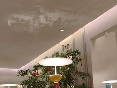-Aqua Oasis 水天堂(太湖中心mall店)