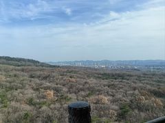 -灵谷景区