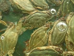 android_upload_pic-合家小菜餐馆(新诚花苑店)