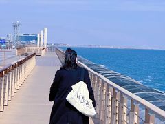 -东疆建设开发纪念公园
