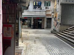 -洪馨椰子