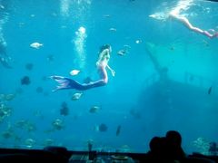 -瑞德姆美人鱼海底演艺主题餐厅(亚龙湾店)