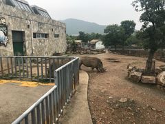 -无锡动物园·太湖欢乐园