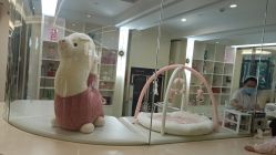 -宝生月子中心·私家园林式(龙华观澜店)