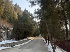 -龙口南山旅游景区