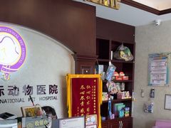 -宠爱国际动物医院·疑难骨科·心肾内科·皮肤科(太阳宫店)
