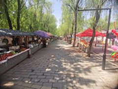 -北宫国家森林公园