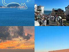 -巧克力渔家.小船海鲜家常菜(万平口店)