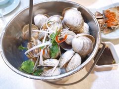 一桶白蚬-渔娘渔家丹东海鲜(东直门店)