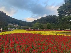 -广州市石门国家森林公园