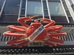 -蟹道乐(道顿堀本店)