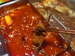 空运毛肚-渝蛙先生领鲜美蛙老火锅
