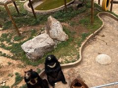 -无锡动物园·太湖欢乐园
