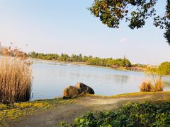 -美兰湖景区