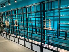 -Trend1881视光·蔡司视觉(领展广场店)