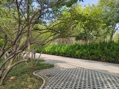 -南翠屏公园
