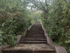 -千佛山风景名胜区