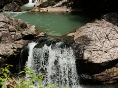 -广州白江湖森林公园