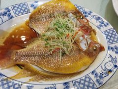 清蒸红斑鱼-顺峰海鲜酒楼(省府店)