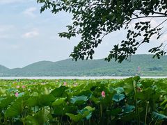 -云龙湖旅游景区